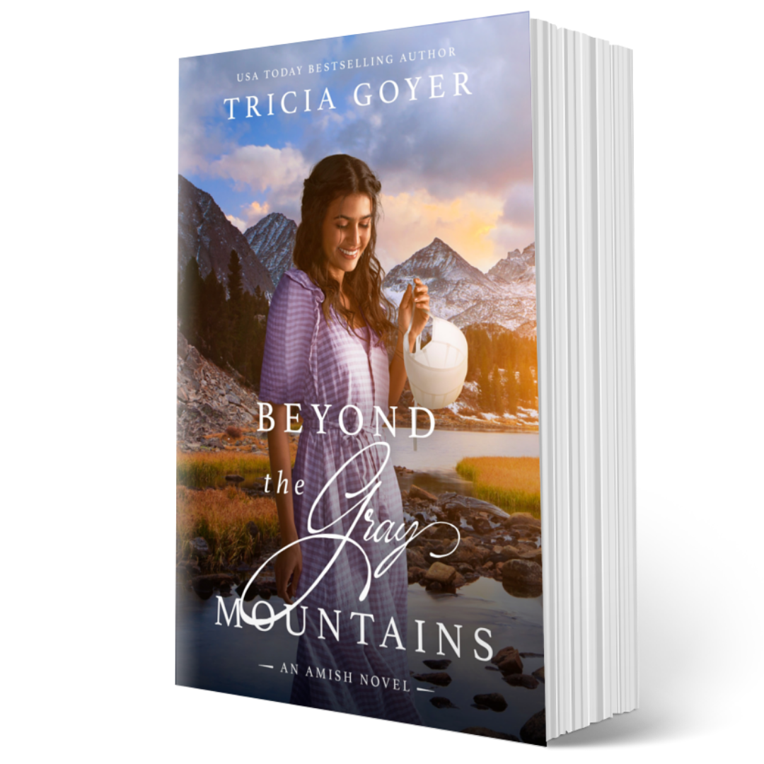 Beyond the Gray Mountains PRINT BOOK (Big Sky Amish Book 1)